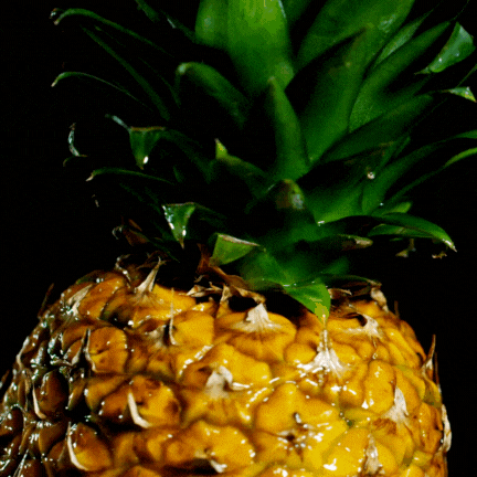 SEX ON FIRE – Colombia