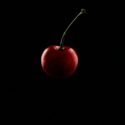 X PANTHER – Nicaragua