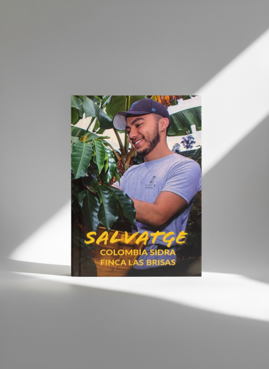 DAWN BUSTER – Limited Edition Colombia